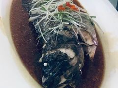 -上海新发展亚太JW万豪酒店