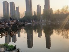 -前关湿地公园