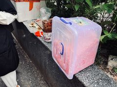 -六广门毛阿姨糯米饭