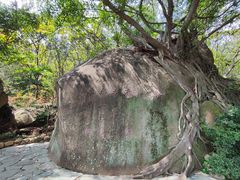 -草庵摩尼教遗址公园