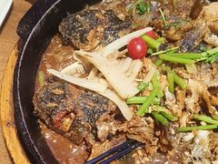 -老板恋上鱼(恒隆广场店)