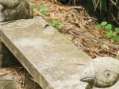 -红山村