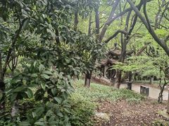 -临平公园(临平街道)