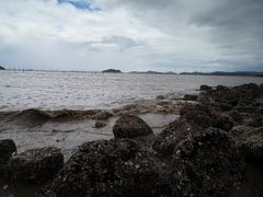 -北岐滩涂