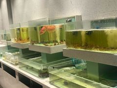 -至尊鲨鱼·原烹海鲜·新浙菜(拱宸桥店)