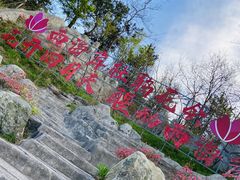 -青岛大珠山景区