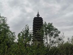 -西海子公园