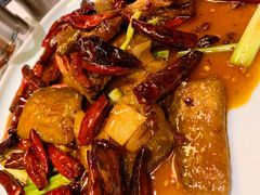 -院8里·小聚园老川菜(九眼桥店)