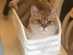 -天津前进宠物医院(前进道店)