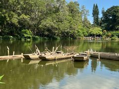 -深圳仙湖植物园