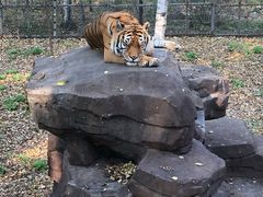 -哈尔滨北方森林动物园