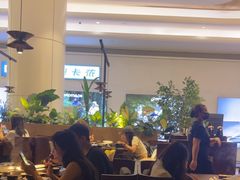 -同仁四季椰子鸡(宝安壹方城店)