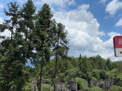 -梭布垭石林景区