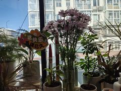 -懒人盐府人家(航天桥店)