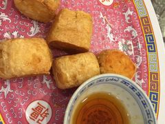 -大中鱼翅 Taitong Shark Fin