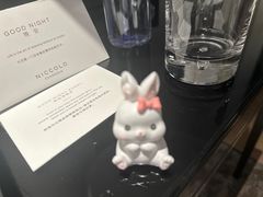 -长沙尼依格罗酒店