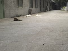 -北京市劳动人民文化宫(太庙)