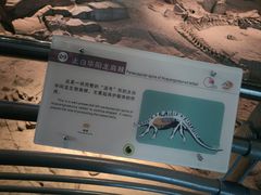 -自贡恐龙博物馆