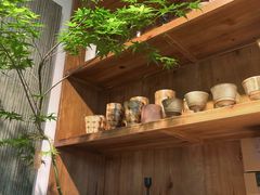 -自由生长植物工作室(深港花卉中心店)
