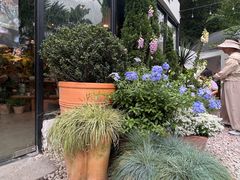 -自由生长植物工作室(深港花卉中心店)