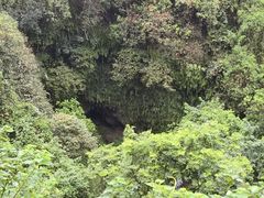 -海口火山口国家地质公园