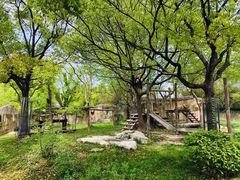 -上海野生动物园