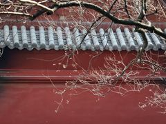 -南岳衡山风景名胜区-南岳大庙