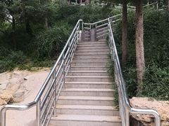 -黄村公园