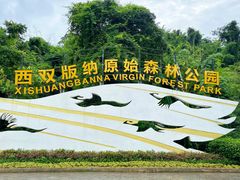 -西双版纳原始森林公园