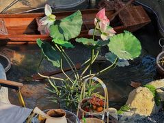 -伴山茶苑·围炉煮茶