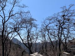 -泰山风景名胜区