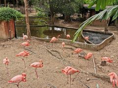 -清迈夜间动物园