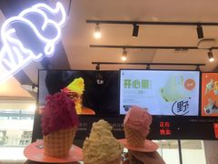 门面-野人先生现做冰淇淋(西安赛格店)