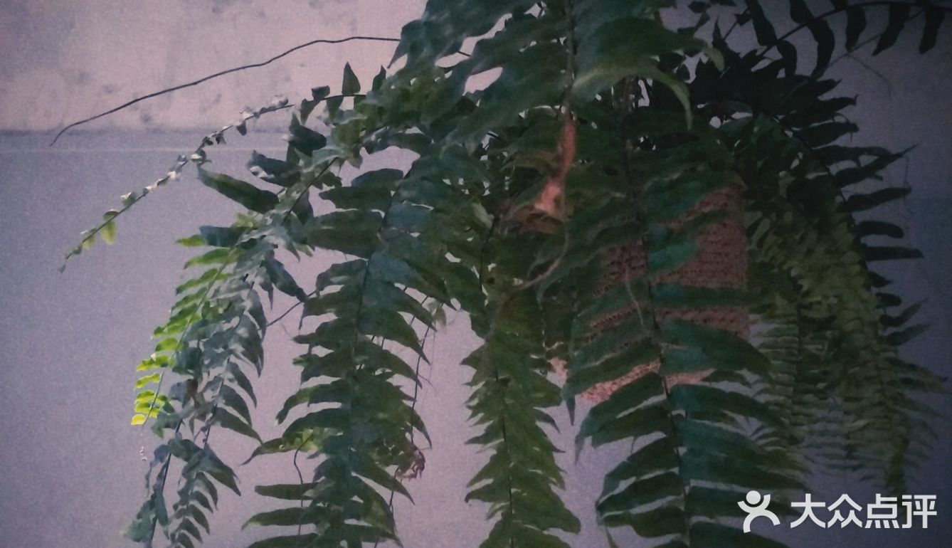 推荐不错的特调★都柏林人