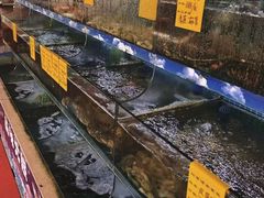 -坛南湾阿强农家乐.海鲜大排档老字号(福州地标美食店)