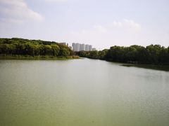 -昆山城市生态森林公园