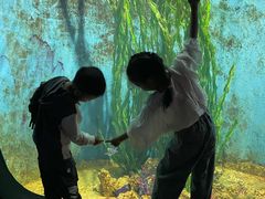 -江和美海洋公园