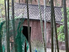 -天目湖山水园