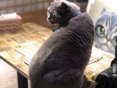 -小时光咖啡馆(开森度假森林店)