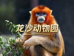 -齐齐哈尔龙沙动植物园