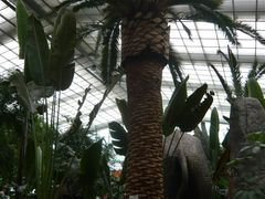 P1000632-绿色时代大酒店