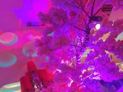 -巴特餐饮6加1音乐餐吧·新疆菜