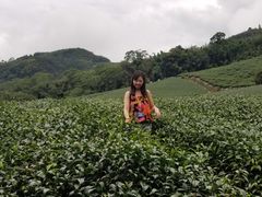 -优游吧斯邹族文化部落