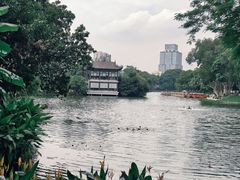-荔湾湖公园