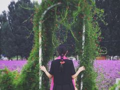 -紫海香堤香草艺术庄园
