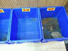 水产区-大圣甲(汉口店)