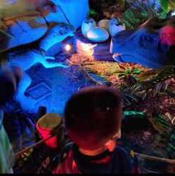 -恐龙探索乐园(磁器口店)