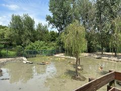 -溱湖国家湿地公园