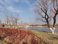 -西海子公园