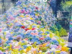 -上海共青森林公园